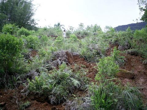 Matéria do Internauta: deslizamentos de terra assustam moradores de Aguapés em Osório