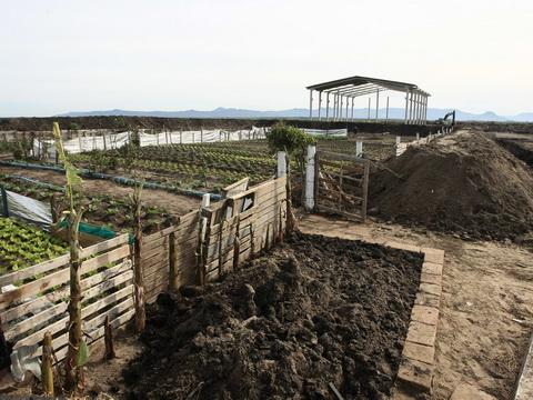 Central de Entulhos dá espaço à Horta Comunitária Municipal em Imbé