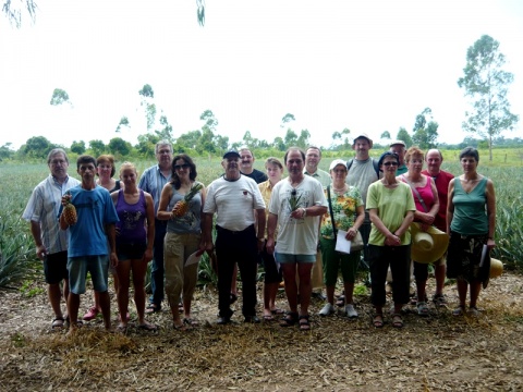 Agricultores alemães conhecem plantações de abacaxi e de banana em Torres