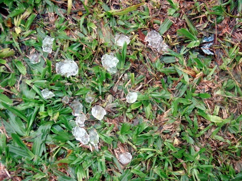 Osório registra queda de granizo na tarde dessa segunda-feira