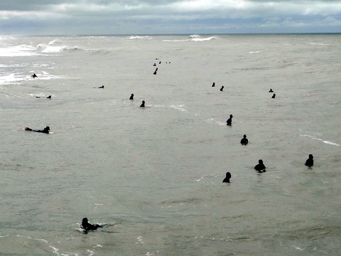 Boas ondas levam surfistas as praias do litoral