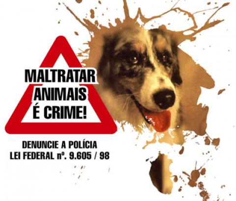 Cães são exterminados em bairro de Santo Antônio
