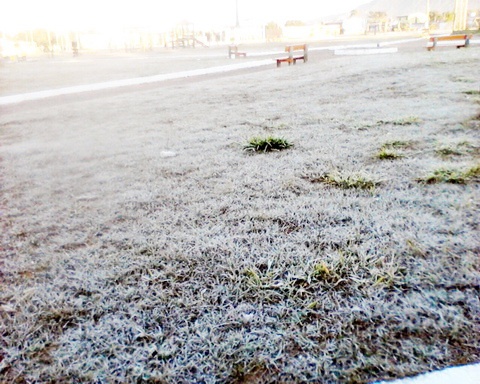 Fim de semana começa com temperaturas baixas e geada no Litoral Norte