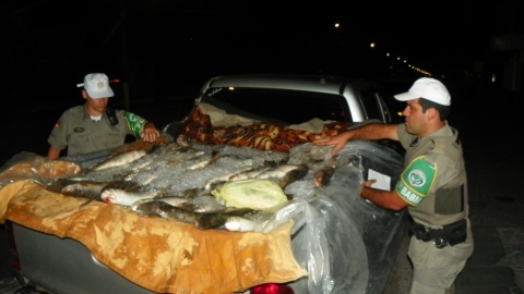 Cerca de 500 Kg de pescado é apreendido em Capivari Sul