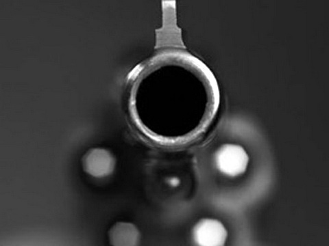 Armas não aumentam crimes, afirma presidente de entidade