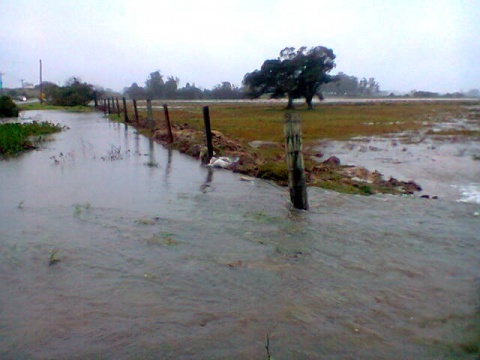 Prejuízos com a chuva passa de R$ 3 milhões em Santo Antônio da Patrulha