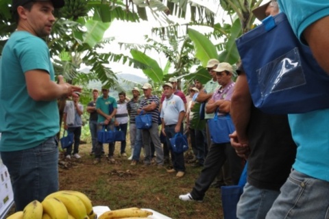 Agricultores buscam conhecimento sobre cultivo de banana no Litoral Norte