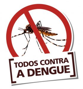 Mosquito-da-dengue