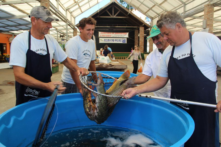 Feira do Peixe começa nesta terça-feira em Osório: veja valores