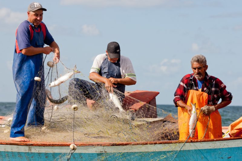 Comercialização de peixes na Semana Santa deve ultrapassar 3.200 toneladas no RS