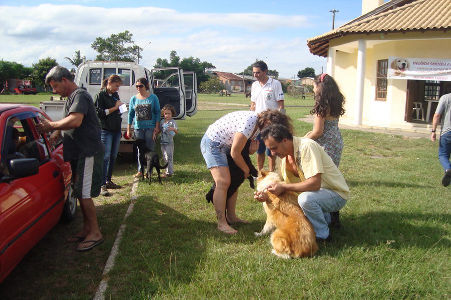 Campanha de controle animal atendeu 198 cães e gatos em Osório