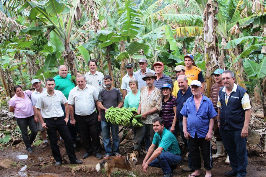 Evento visa melhoria da Cadeia Produtiva da Banana em Santo Antônio da Patrulha