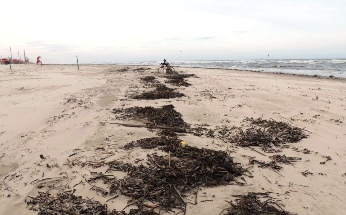 SEMMAP esclarece sobre resíduos encontrados na praia de Imbé