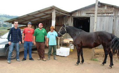 11-08-Criadores de equinos recebem assistência técnica