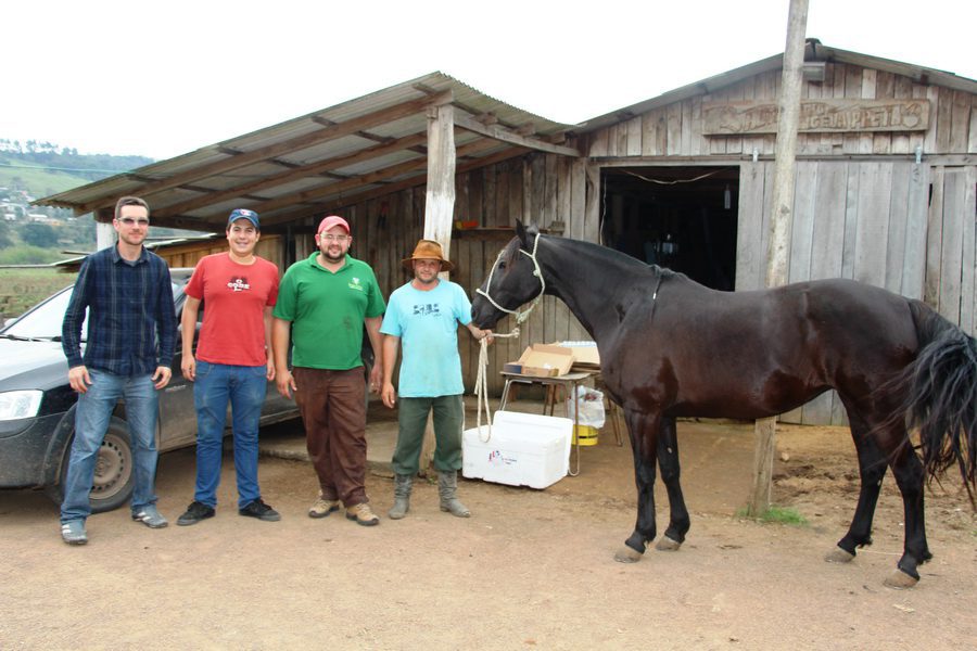 Criadores de equinos recebem assistência técnica em Santo Antônio da Patrulha