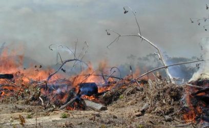 Com a intensificação do fenômeno El Niño, em 2015, as águas estão mais quentes na superfície do Pacífico, levando à supressão de chuvas no leste da Amazônia e ao aumento do risco de queimadas. Maranhão, Mato Grosso e Pará são os estados brasileiros com maior risco de queimadas este ano.Divulgação/Doug Morton/Nasa