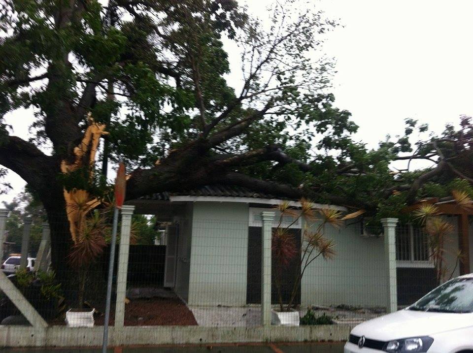 Árvore cai sobre casa em Osório. Temporal causou estragos na região
