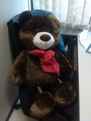 Mais um urso furtado da praça é recuperado em Osório