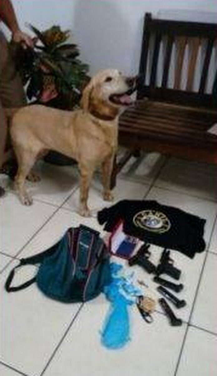 Com ajuda de cão, BM apreende armas e drogas em Tramandaí