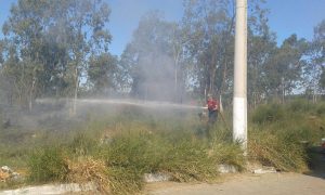 Osório: bombeiros trabalham para combater fogo em mato próximo a residências