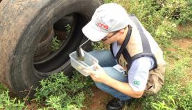 Exames não encontram Aedes aegypti em depósito de pneus no Rio Grande do Sul