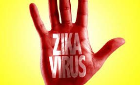 OMS recomenda que mulheres com Zika continuem amamentando