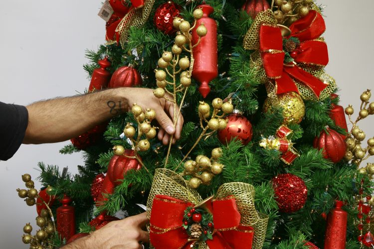 Veja os principais cuidados que você deve tomar com a decoração da sua  árvore nesse Natal - Litoralmania ®
