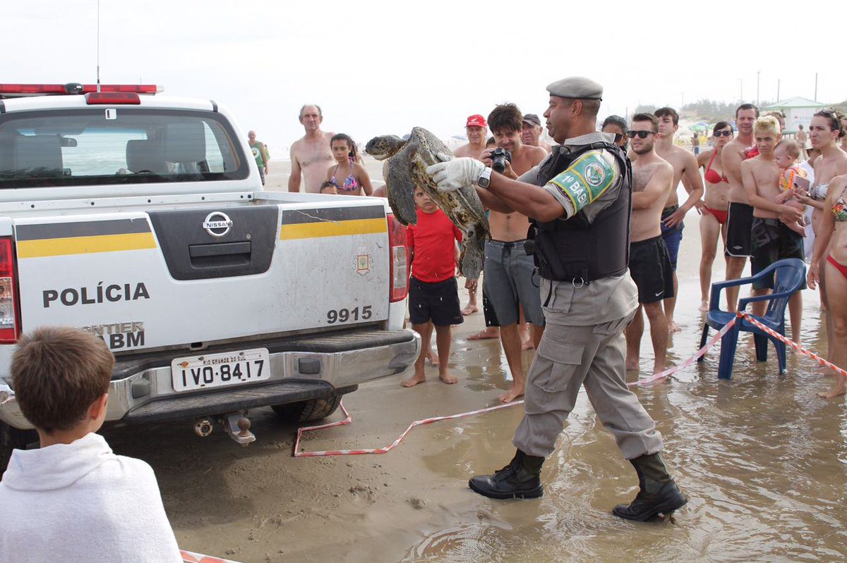 Tartaruga marinha é resgatada na beira mar de Capão da Canoa