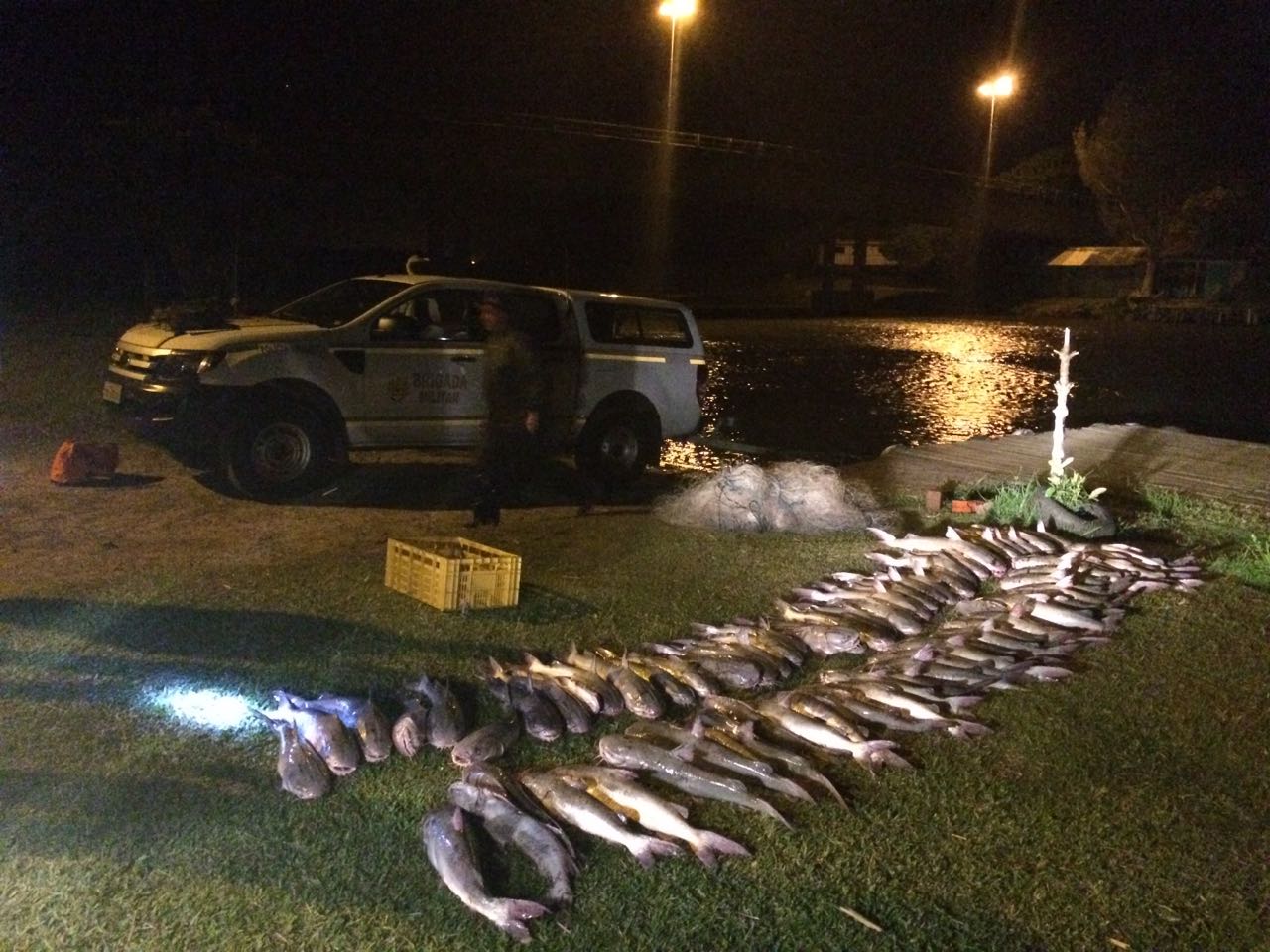 Pescadores são presos com 74 bagres e centenas de ovas no Rio Tramandaí (vídeo)