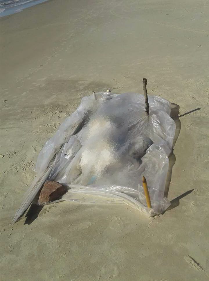 Corpo de jovem é encontrado decapitado na beira mar