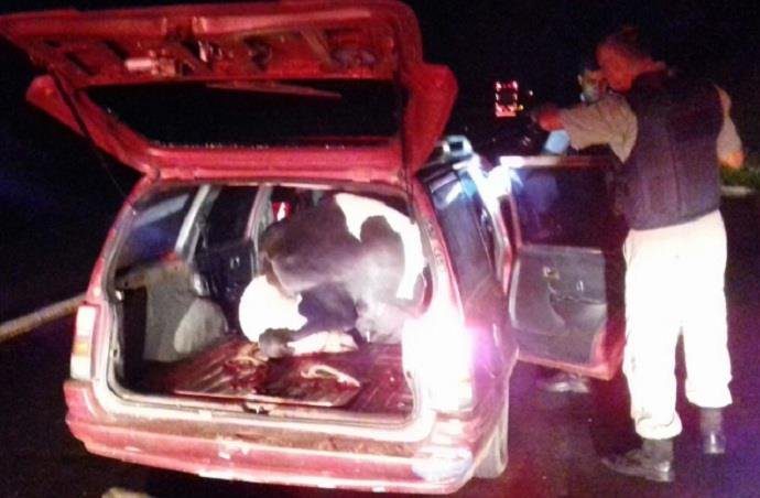 Trio é preso com vaca dentro de carro na Freeway