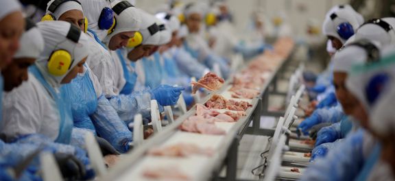 UE e 14 países suspendem temporariamente importação de carne brasileira