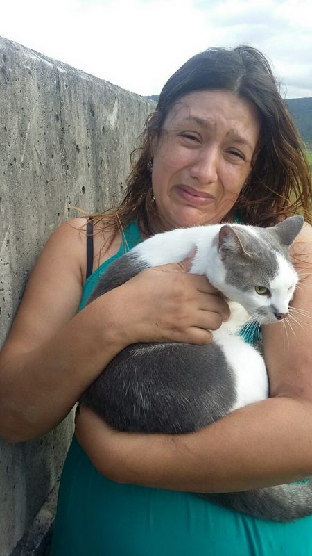 PRF resgata e devolve a sua dona dois gatos após acidente de trânsito na BR-101