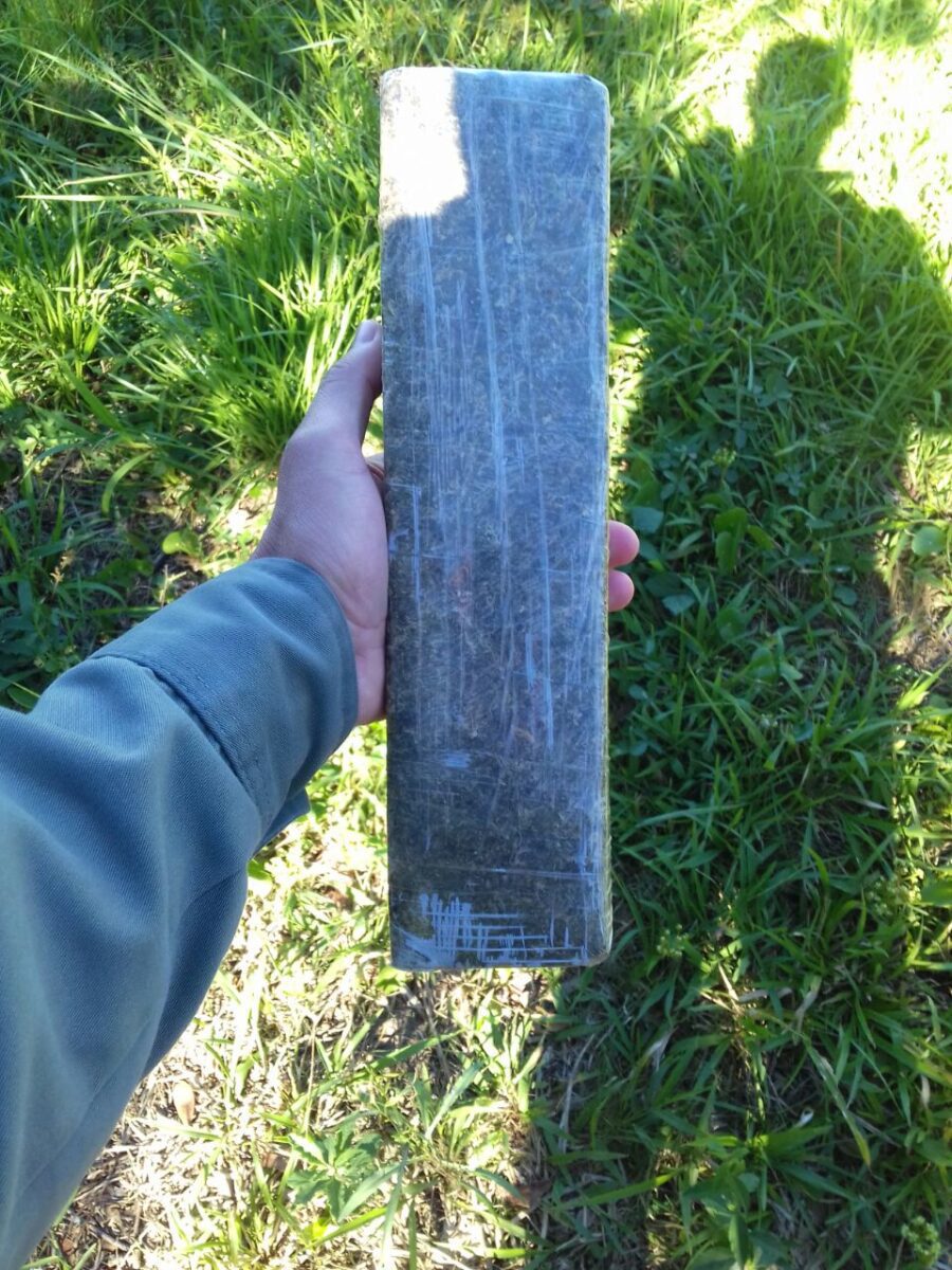 Quase um quilo de maconha é encontrado em matagal ao lado da penitenciária de Osório
