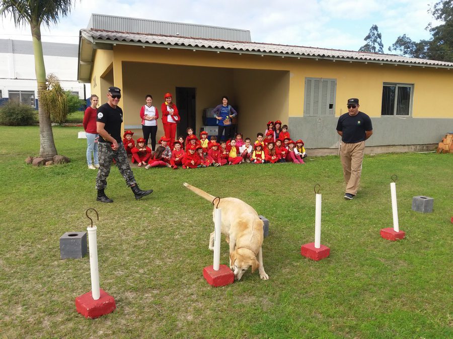 Escola infantil visita canil da Brigada Militar em Osório
