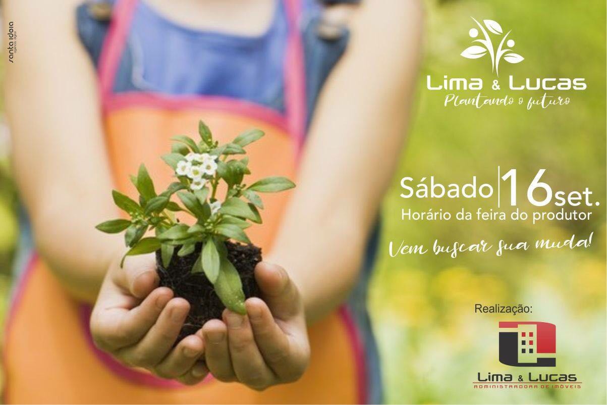 Lima & Lucas Administradora de Imóveis realiza distribuição de mudas de bergamoteiras e pitangueiras