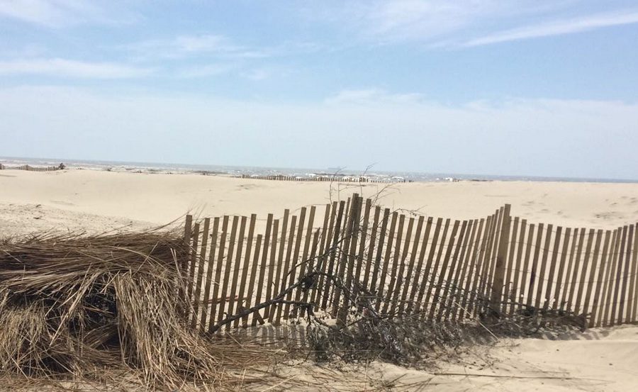 Contenção das dunas sofre novo ato de vandalismo em Imbé