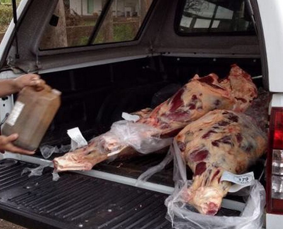 Mais de 200 kg de carne são apreendidos na ERS-030