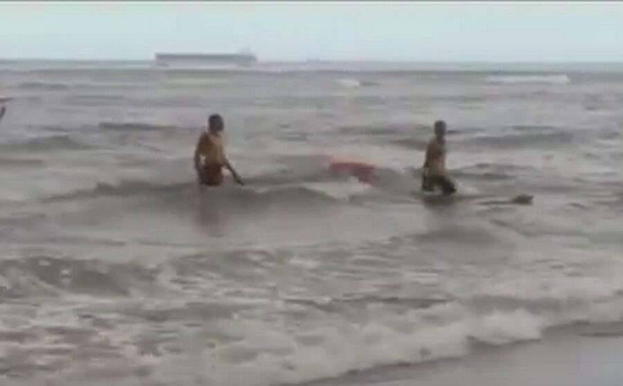 Guarda-vidas salvam cão que entrou no mar (vídeo)
