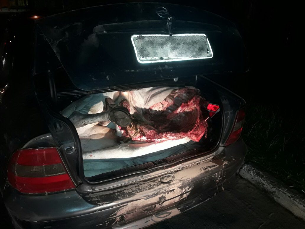 BM detém homem que transportavam boi no porta-malas de veículo em Tramandaí