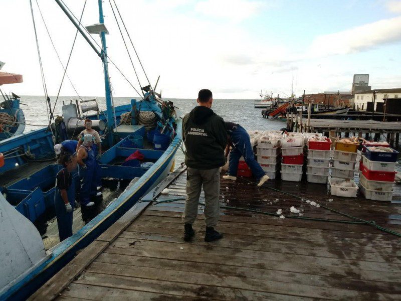 Operação conjunta entre BM e Ibama resulta na apreensão de sete toneladas de pescado