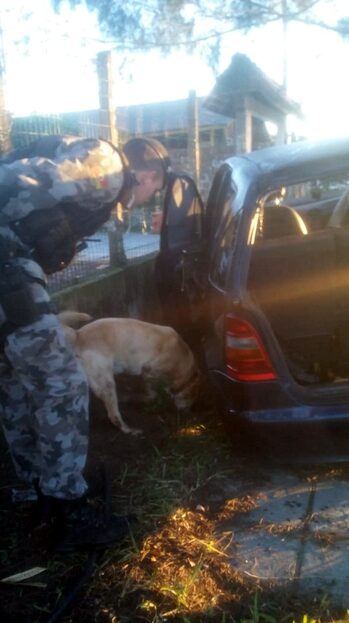 Cães do canil da BM de Osório localizam droga enterrada ao lado de carro abandonado