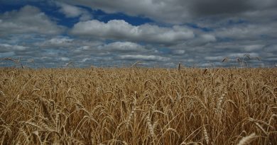 Outono com El Niño: agricultura divulga prognóstico para o clima no estado