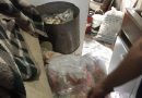 Operação apreende mais de uma tonelada de alimentos impróprios para o consumo em Palmares do Sul