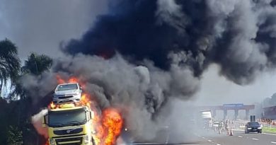 Caminhão cegonha carregado de automóveis pega fogo na freeway