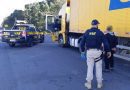PRF apreende anfetaminas em caminhão que presta serviço aos correios em Osório