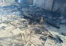 Incêndio destrói casa e mata 15 cachorros em Capão da Canoa