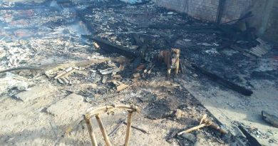 Incêndio destrói casa e mata 15 cachorros em Capão da Canoa