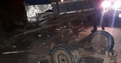 Acidente envolvendo carro e carroça deixa ferida na RS-030 em Osório