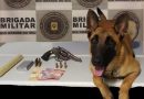 Cão Bonie participa de ação e leva criminosos para a prisão em Tramandaí
